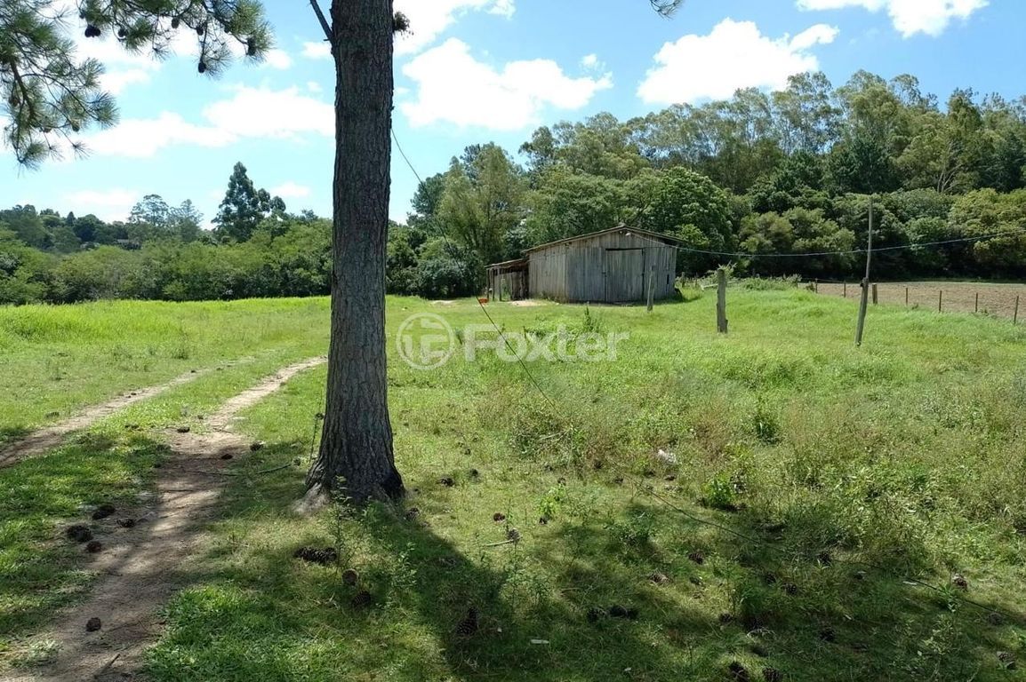sitio chachara fazenda para comprar em Orlando Caetano Chaves, 1025 - foto 9