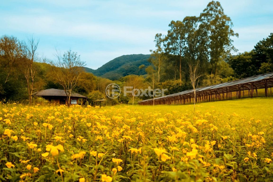 sitio chachara fazenda para comprar em Júlio de Castilhos, 3405 - foto 20
