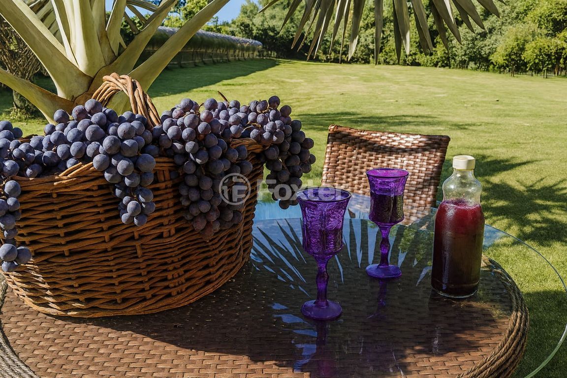 sitio chachara fazenda para comprar em Júlio de Castilhos, 3405 - foto 18