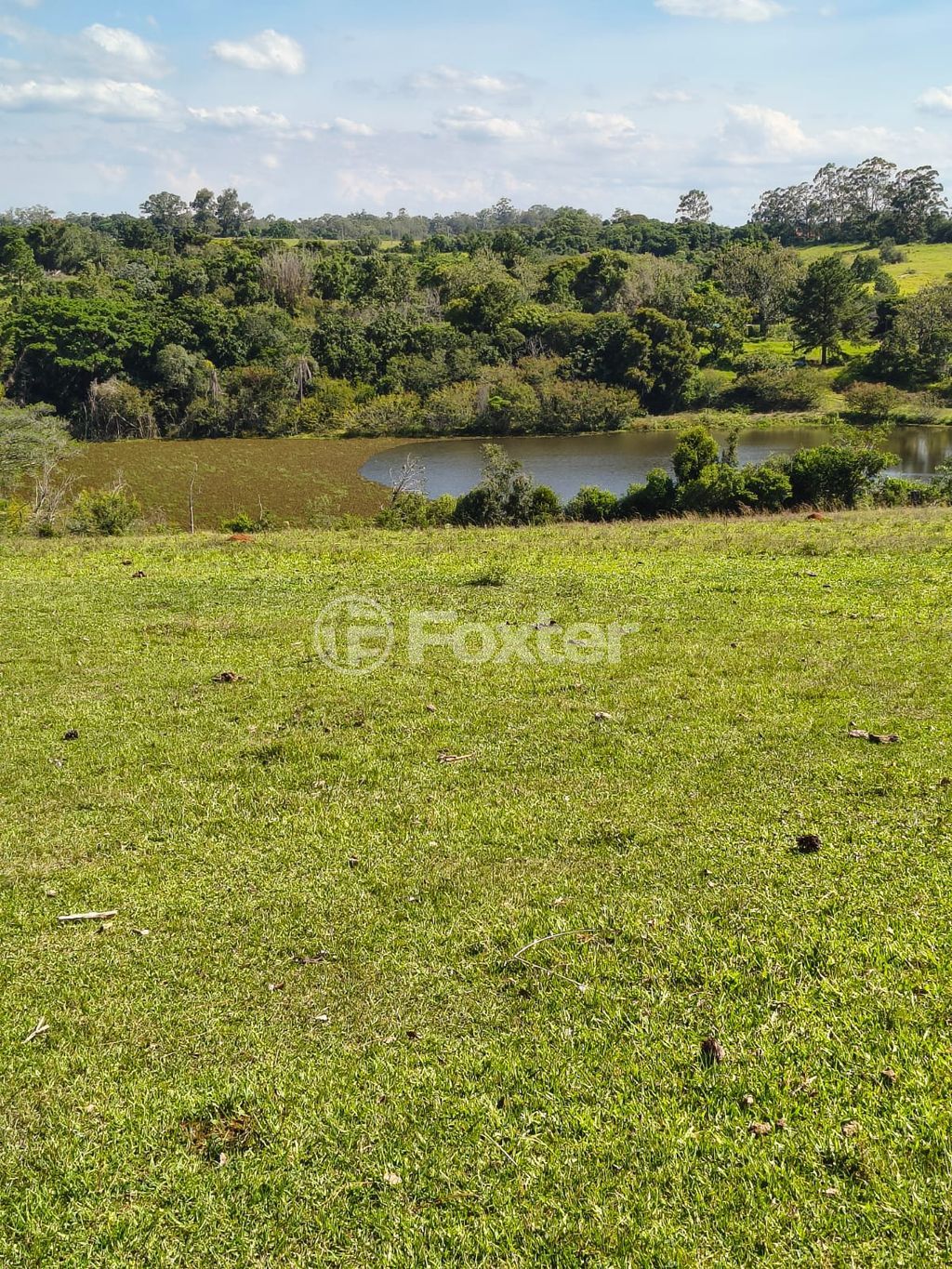sitio chachara fazenda para comprar em da Cegonha, 2008 - foto 24