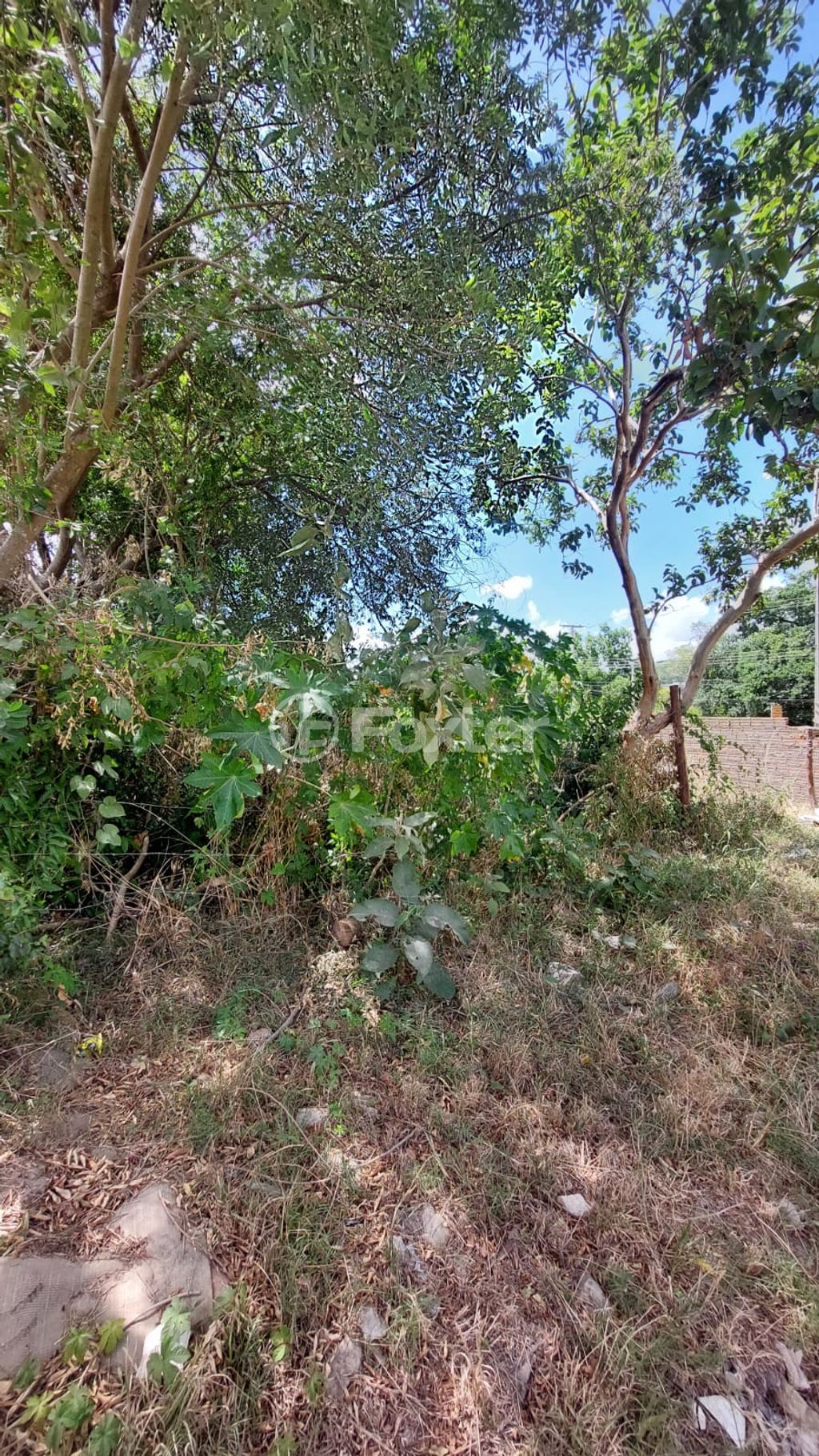 terreno lote condominio para comprar em Oswaldo de Deus e Silva, 29 - foto 6