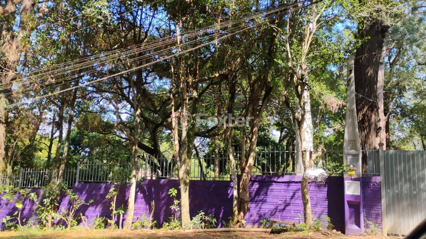 sitio chachara fazenda para comprar em Marechal Márciano Ávila, 369 - foto 12