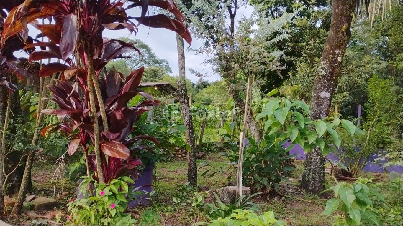 sitio chachara fazenda para comprar em Marechal Márciano Ávila, 369 - foto 16