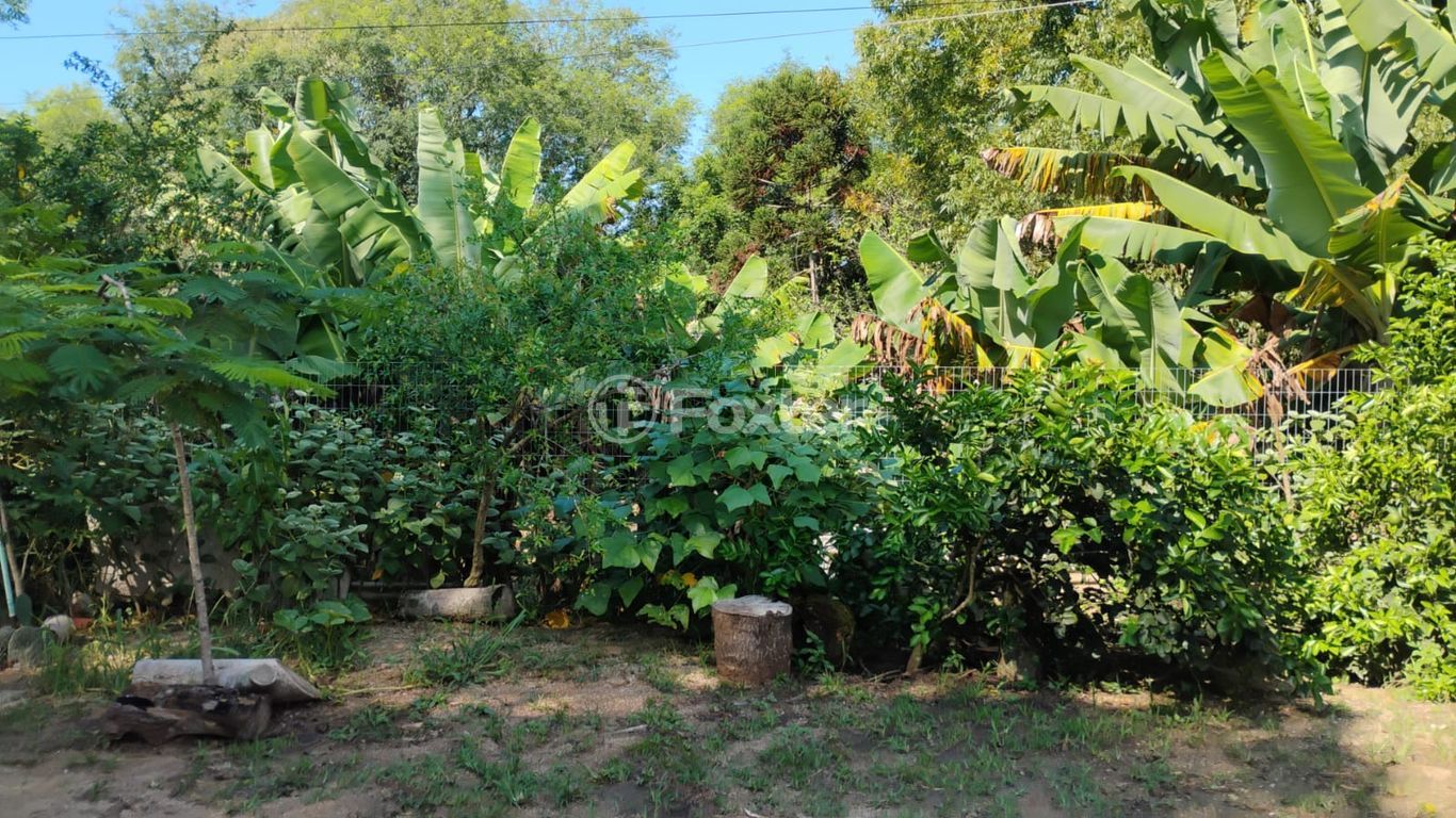 sitio chachara fazenda para comprar em Marechal Márciano Ávila, 369 - foto 39
