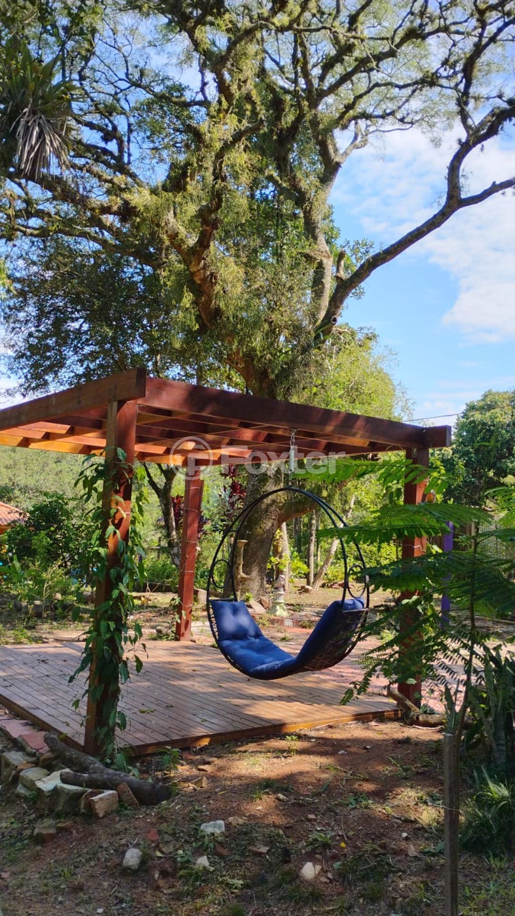 sitio chachara fazenda para comprar em Marechal Márciano Ávila, 369 - foto 22