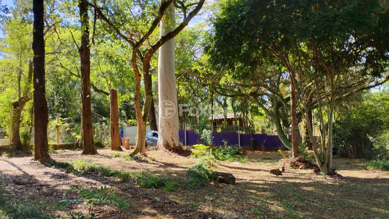 sitio chachara fazenda para comprar em Marechal Márciano Ávila, 369 - foto 27