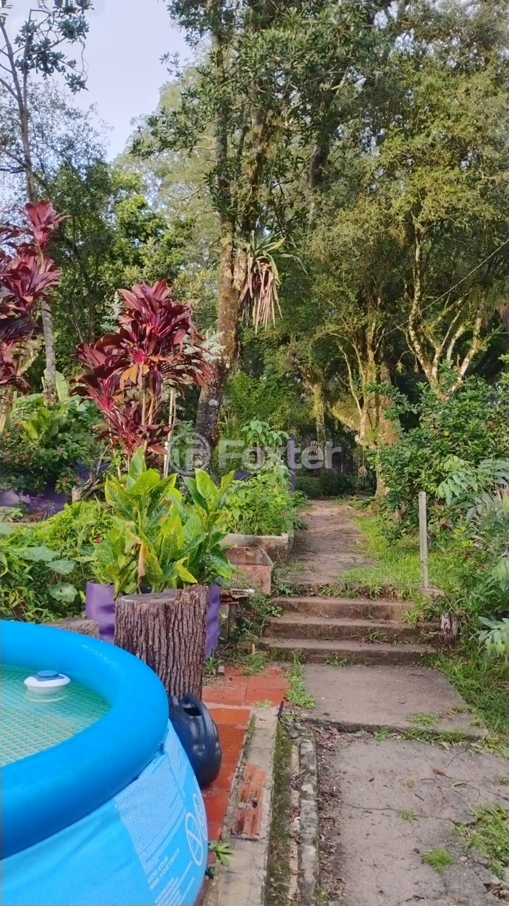 sitio chachara fazenda para comprar em Marechal Márciano Ávila, 369 - foto 34