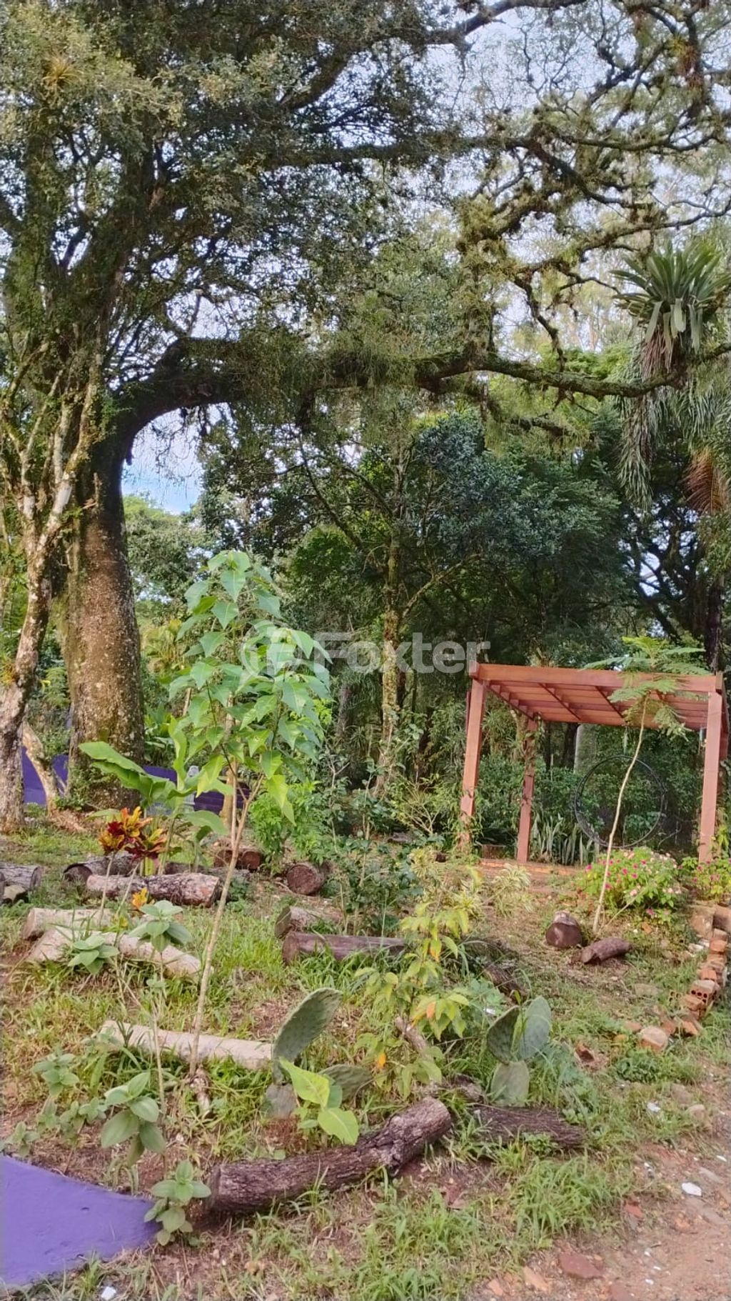 sitio chachara fazenda para comprar em Marechal Márciano Ávila, 369 - foto 24