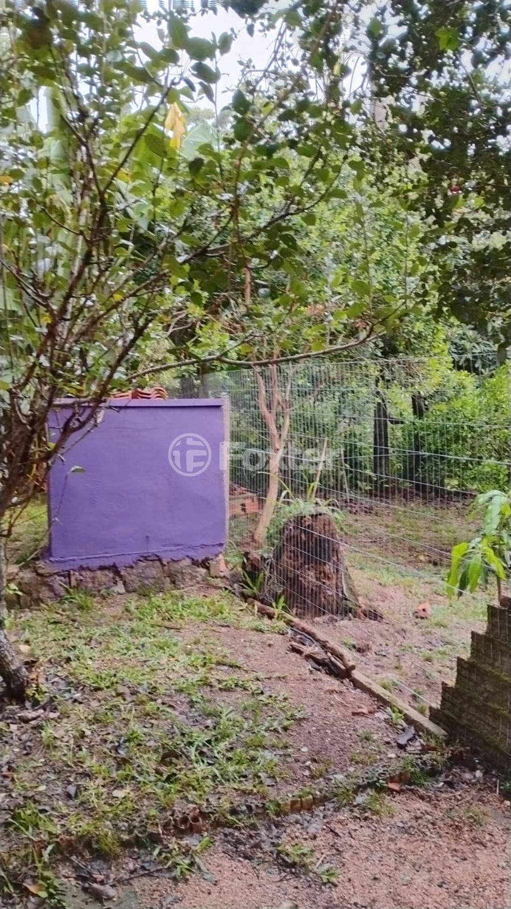 sitio chachara fazenda para comprar em Marechal Márciano Ávila, 369 - foto 29