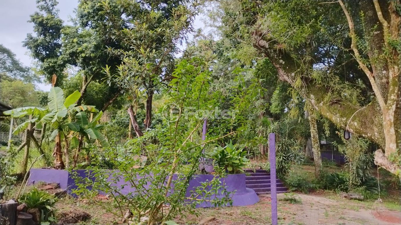 sitio chachara fazenda para comprar em Marechal Márciano Ávila, 369 - foto 37