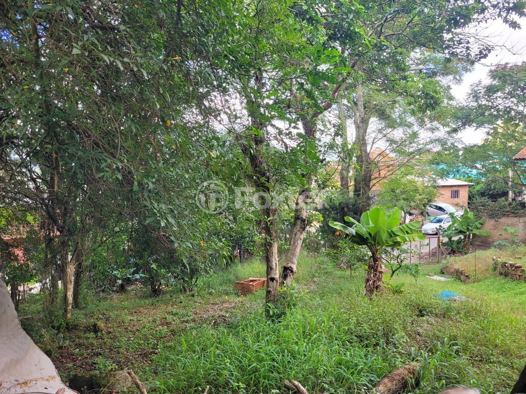terreno lote condominio para comprar em João Francisco Barbosa, 160 - foto 6