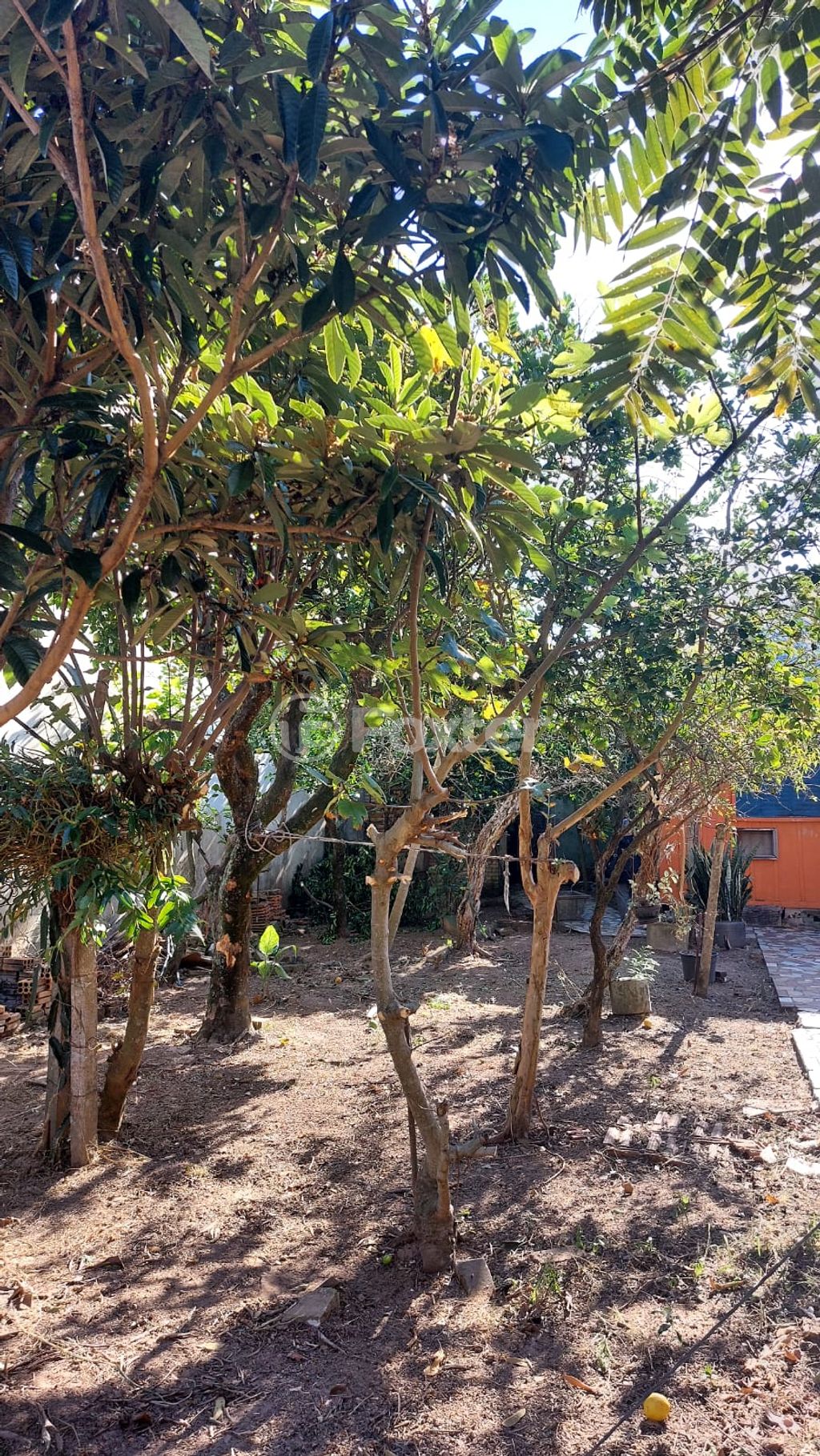 Foto do Anuncio