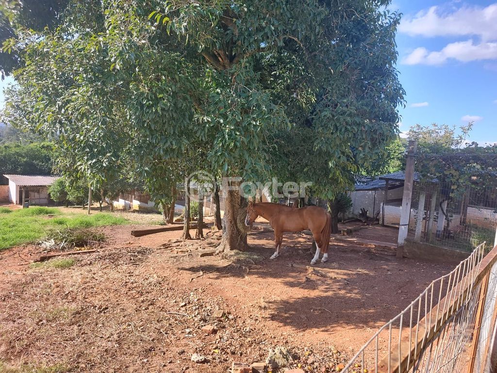 sitio chachara fazenda para comprar em Pedro Augusto Felden, 603 - foto 18