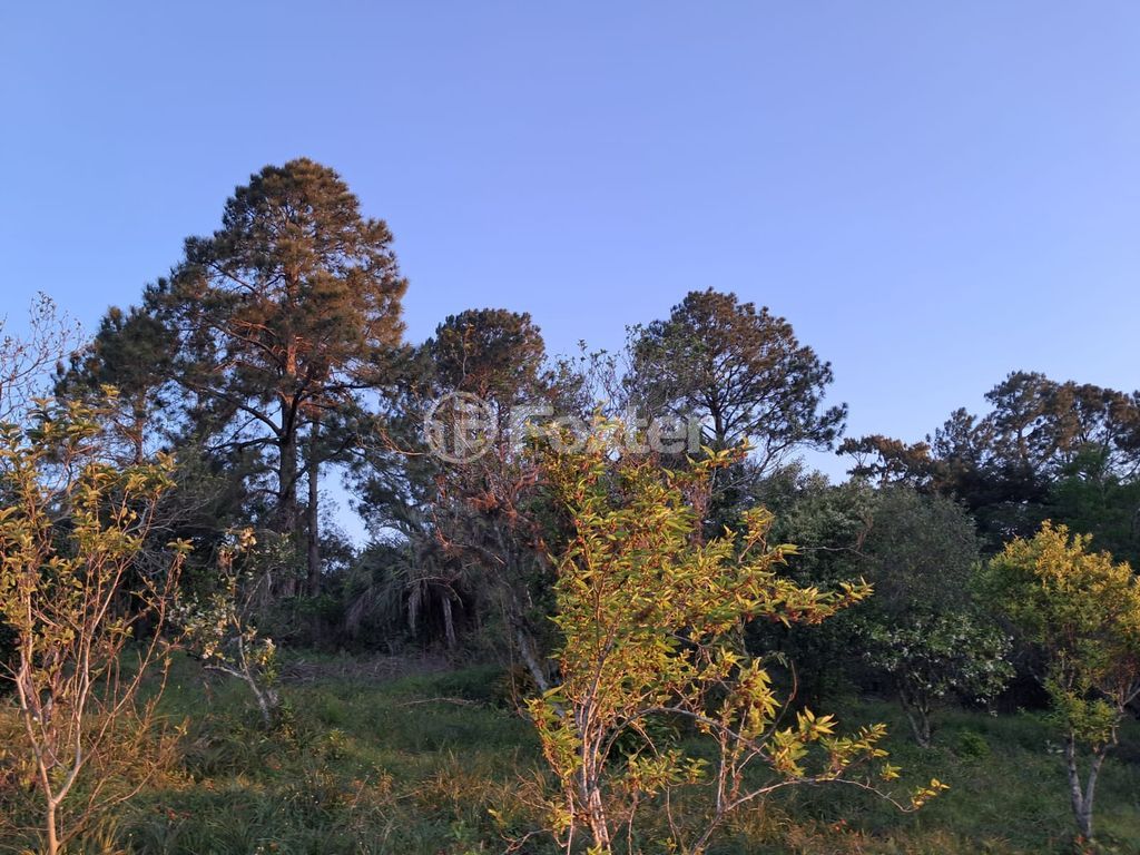 terreno lote condominio para comprar em das Furnas, 1501 - foto 3