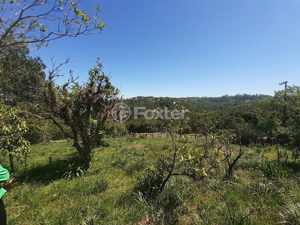 terreno lote condominio para comprar em das Furnas, 1501 - foto 2