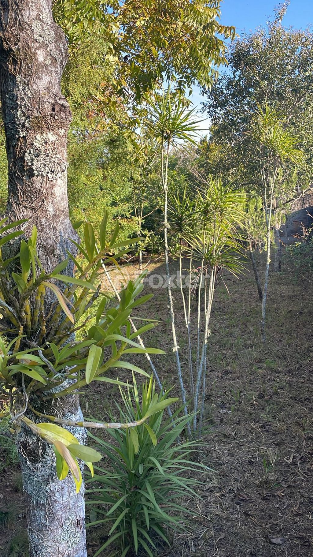 Foto do Anuncio