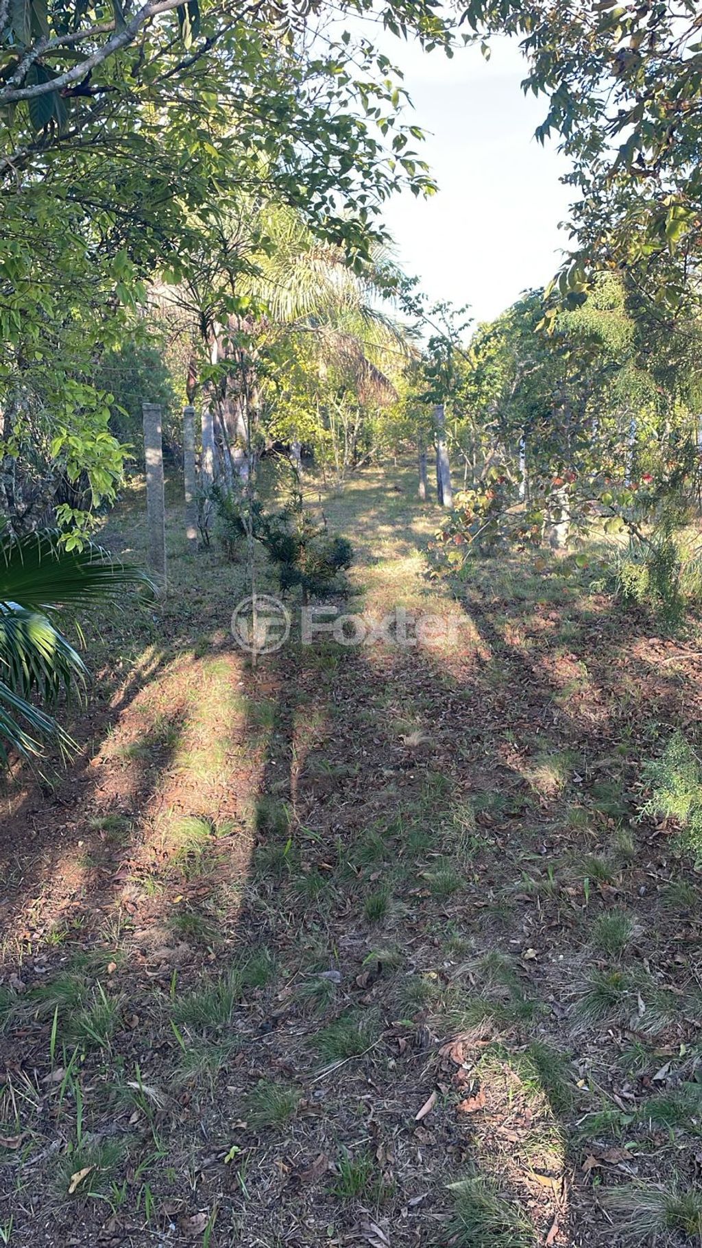 terreno lote condominio para comprar em dos Guterres, 2565 - foto 9