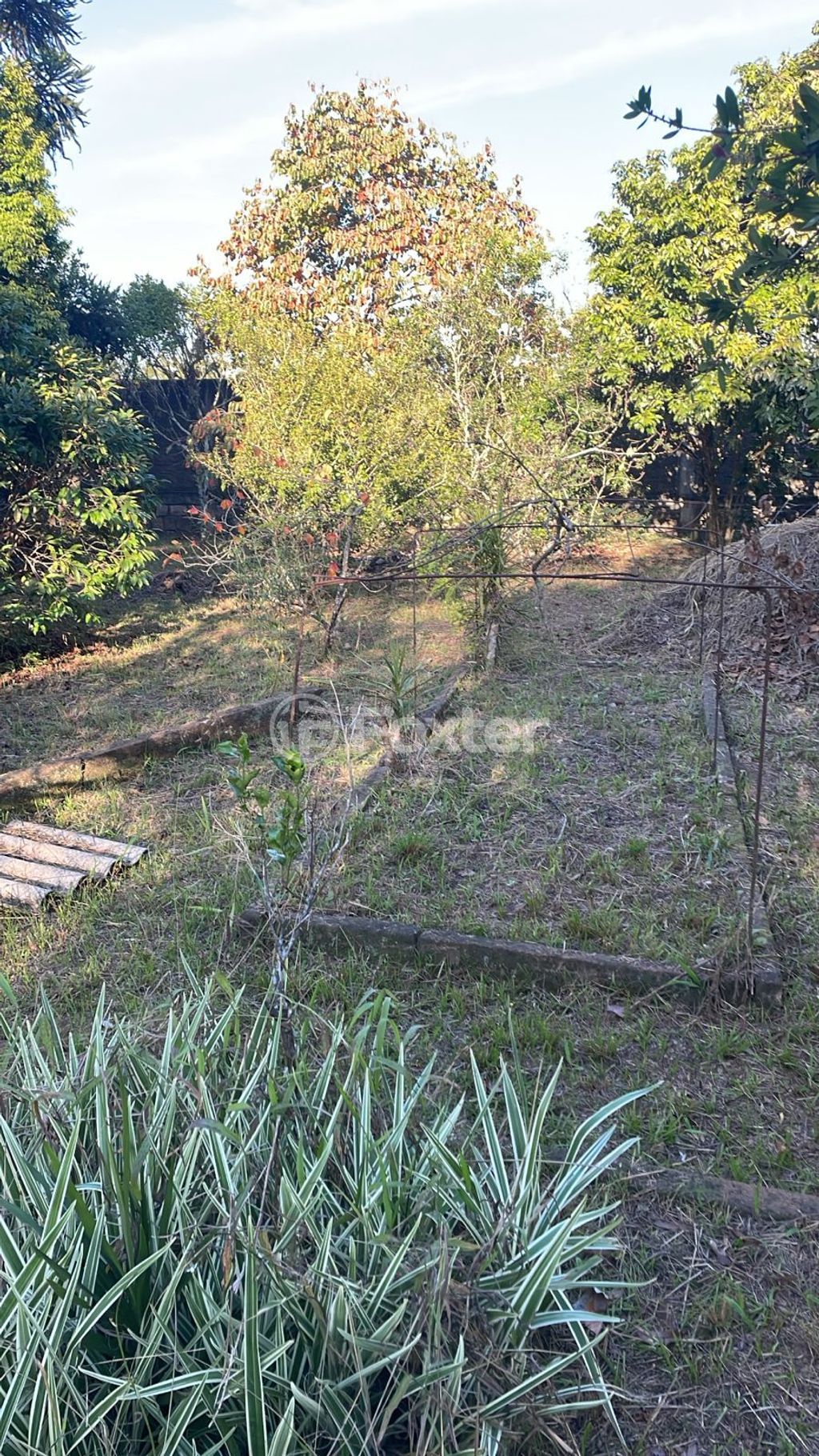 terreno lote condominio para comprar em dos Guterres, 2565 - foto 11