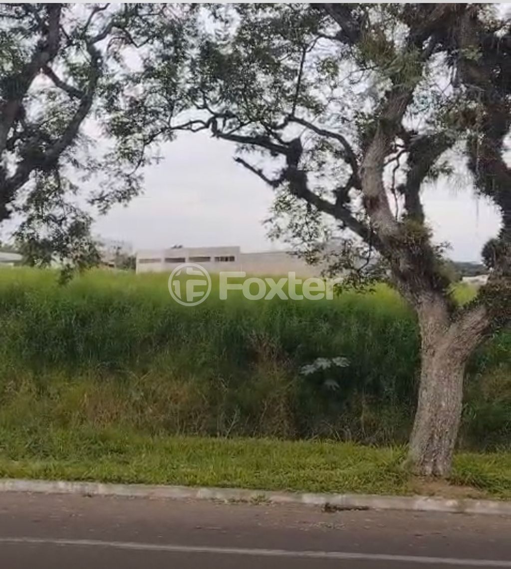 terreno lote condominio para comprar em Rondônia, 150 - foto 3