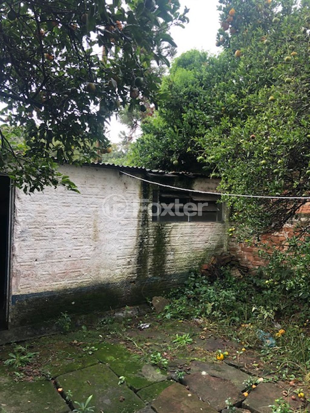 casa sobrado para comprar em Otávio Faria, 292 - foto 28