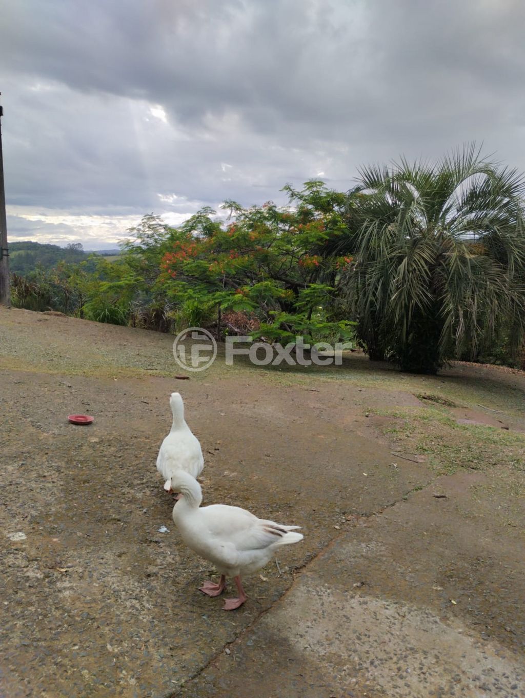 Foto do Anuncio