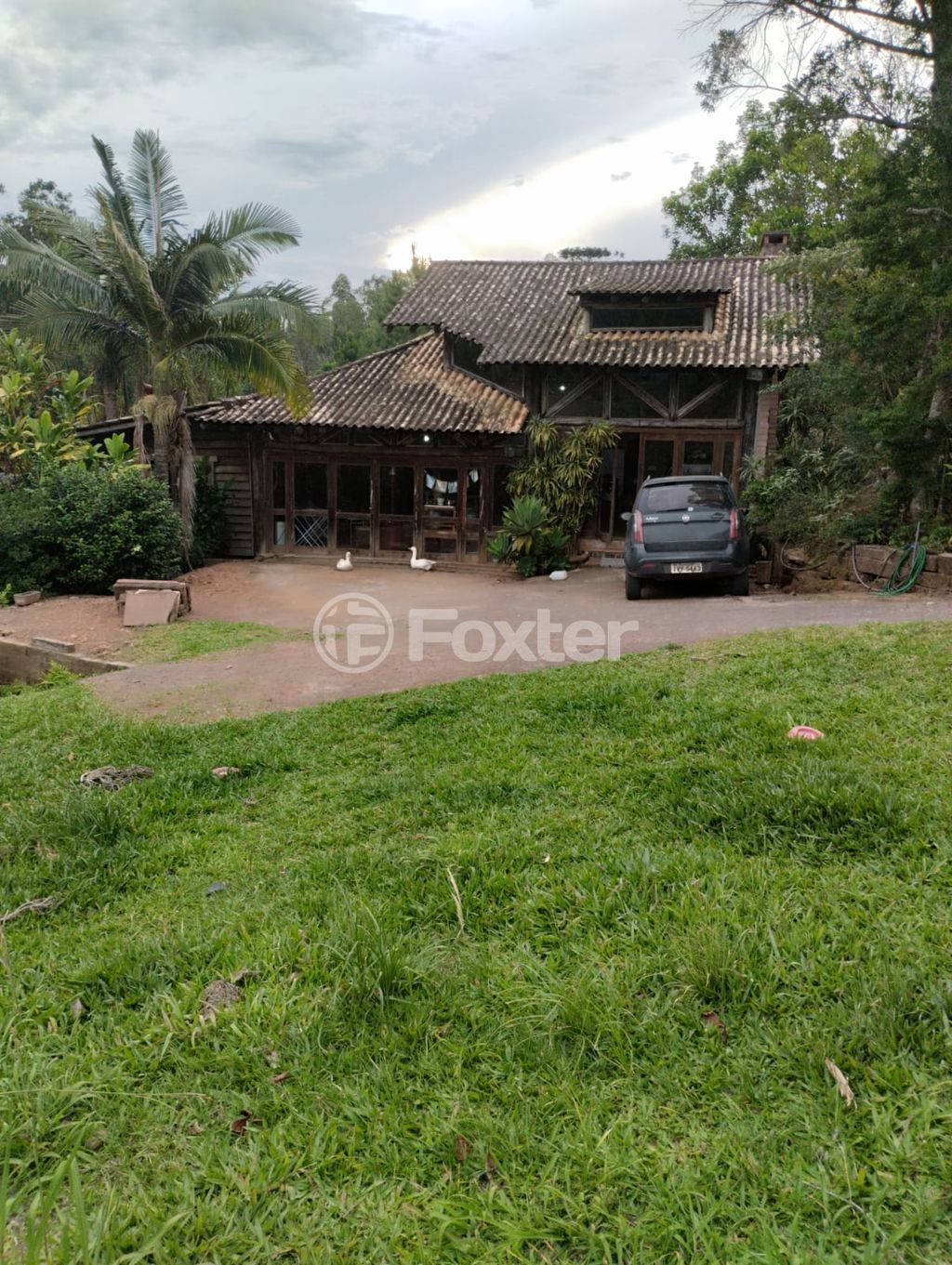 sitio chachara fazenda para comprar em Fazenda Fialho, 800 - foto 20