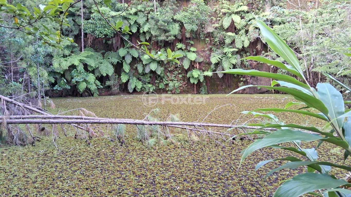 sitio chachara fazenda para comprar em Fazenda Fialho, 800 - foto 12