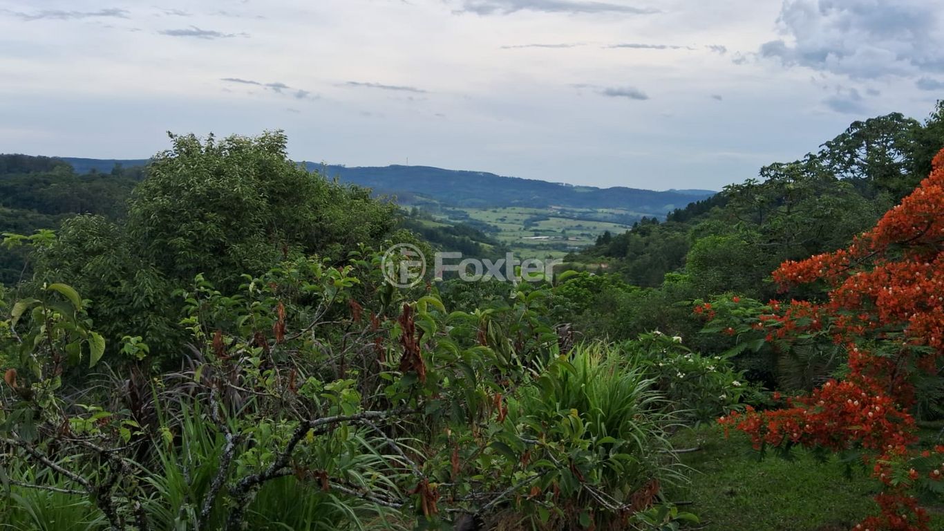 Foto do Anuncio