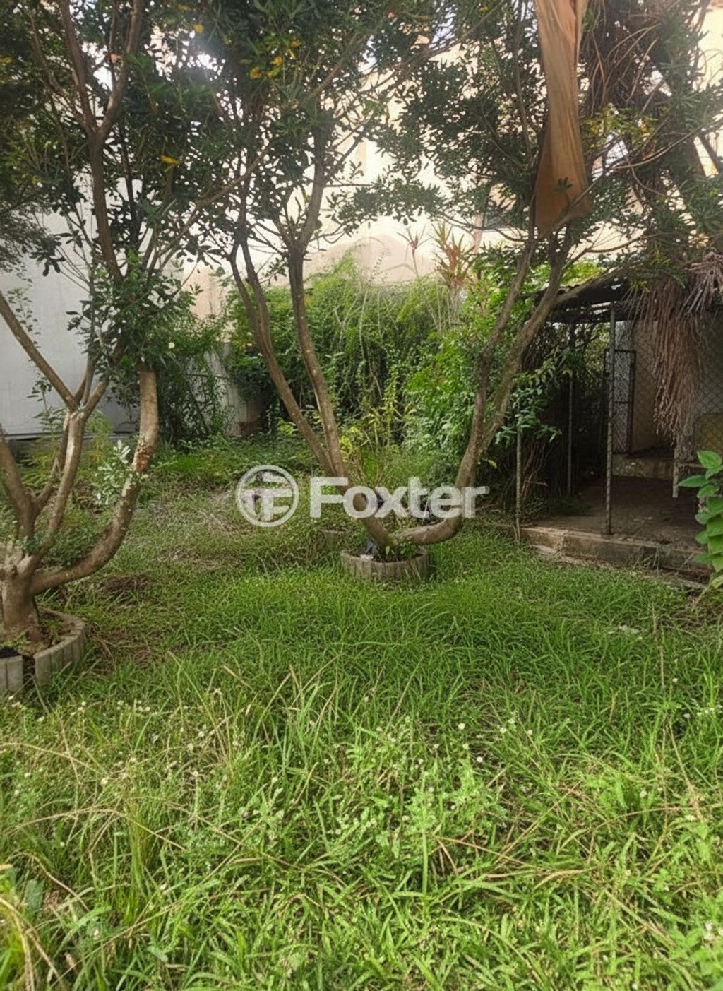 casa sobrado para comprar em Coronel Bordini, 1218 - foto 12