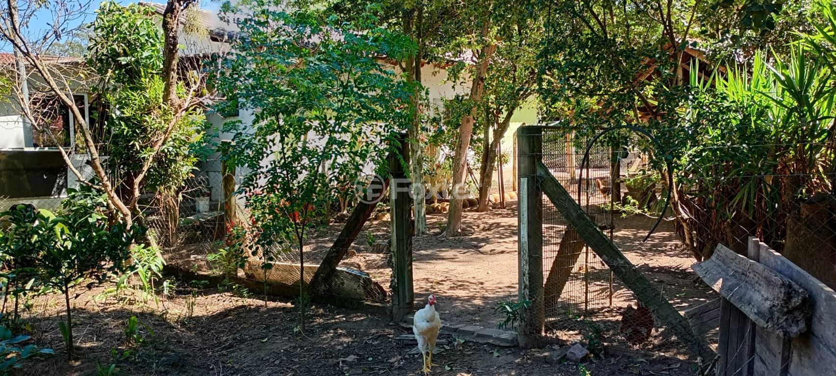 sitio chachara fazenda para comprar em Antenor Martim Mercante, 1173 - foto 15