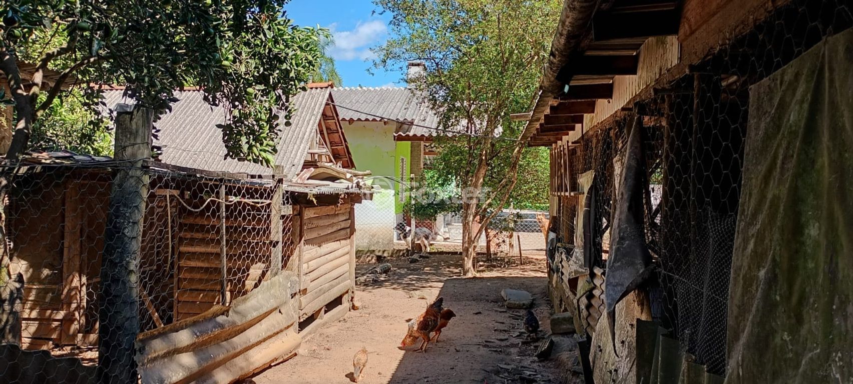 sitio chachara fazenda para comprar em Antenor Martim Mercante, 1173 - foto 14