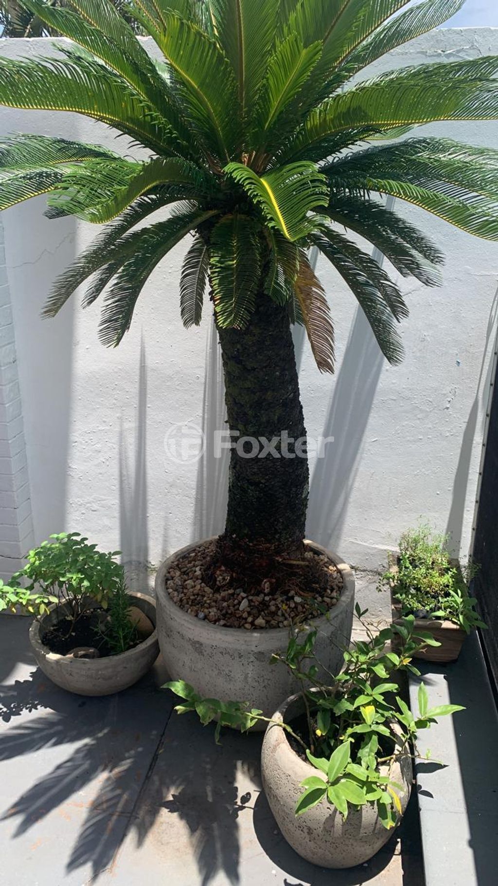 casa sobrado para comprar em Rio Forqueta, 2295 - foto 8