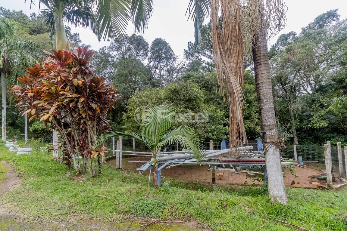 sitio chachara fazenda para comprar em São Caetano, 4952 - foto 63