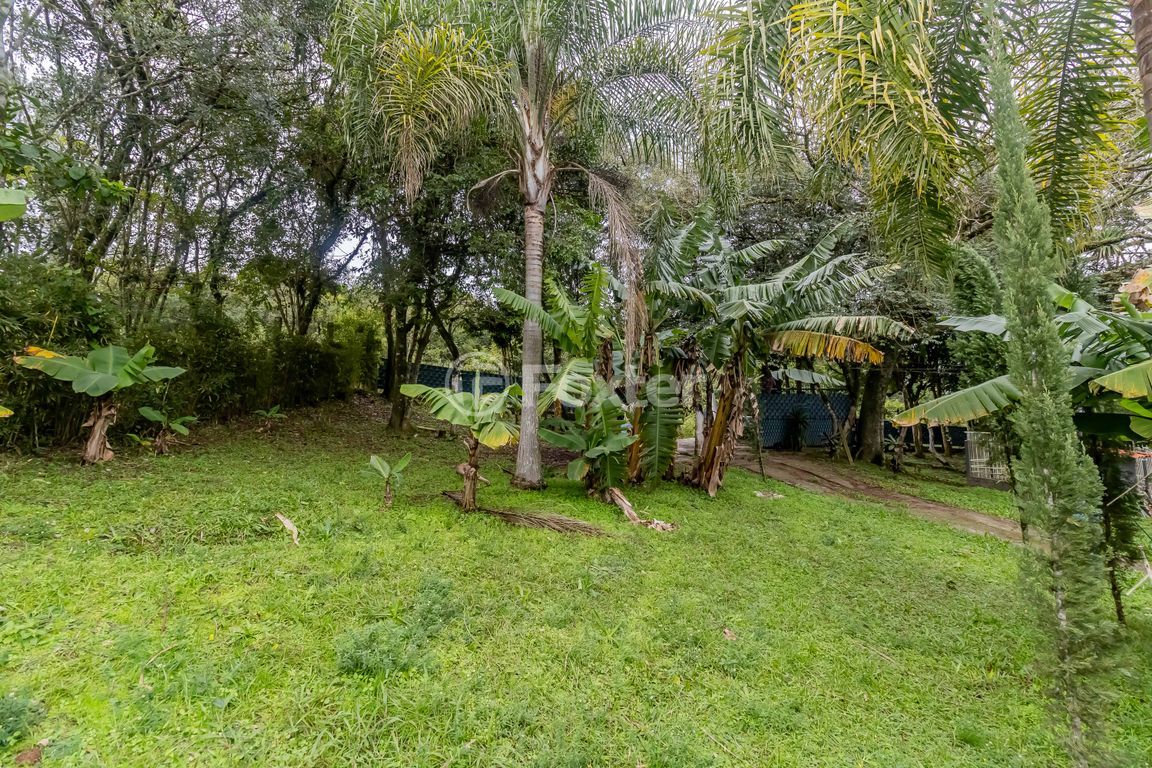 sitio chachara fazenda para comprar em São Caetano, 4952 - foto 70