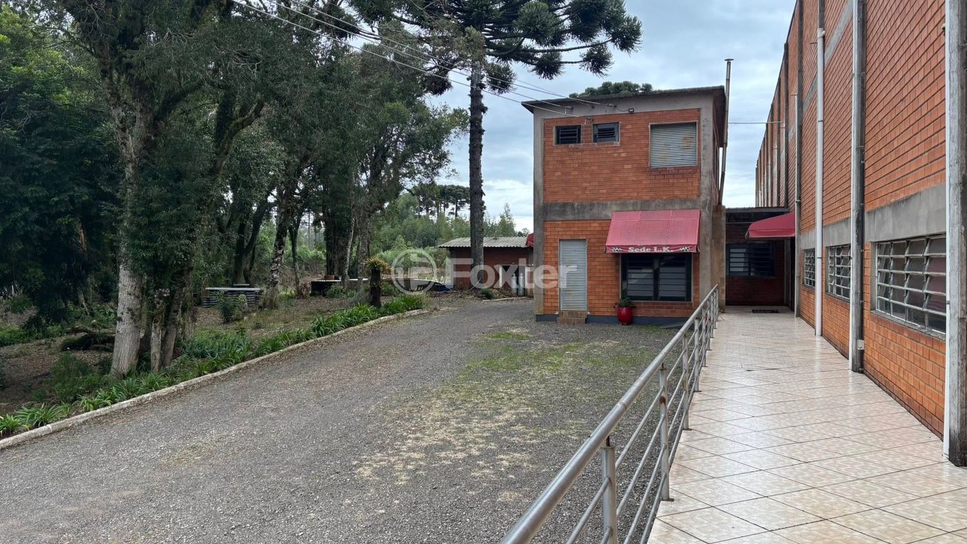 galpao deposito pavilhao para comprar em Roberto Buttenbender, 33 - foto 9