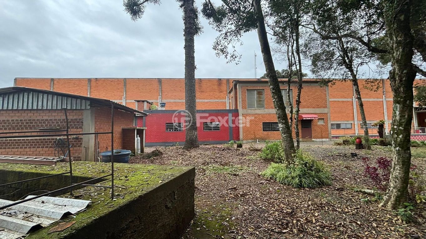 galpao deposito pavilhao para comprar em Roberto Buttenbender, 33 - foto 10