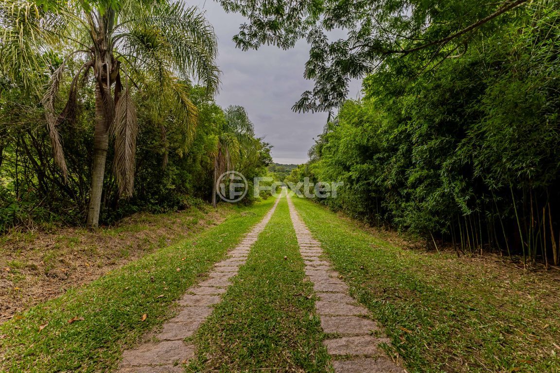 sitio chachara fazenda para comprar em Frei Pacífico, s/n - foto 89