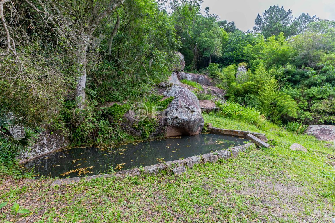 sitio chachara fazenda para comprar em Frei Pacífico, s/n - foto 44