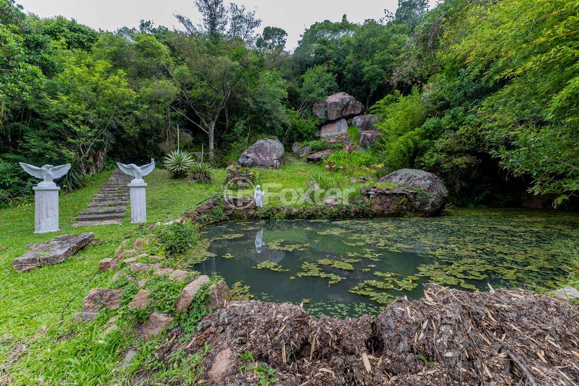 sitio chachara fazenda para comprar em Frei Pacífico, s/n - foto 47
