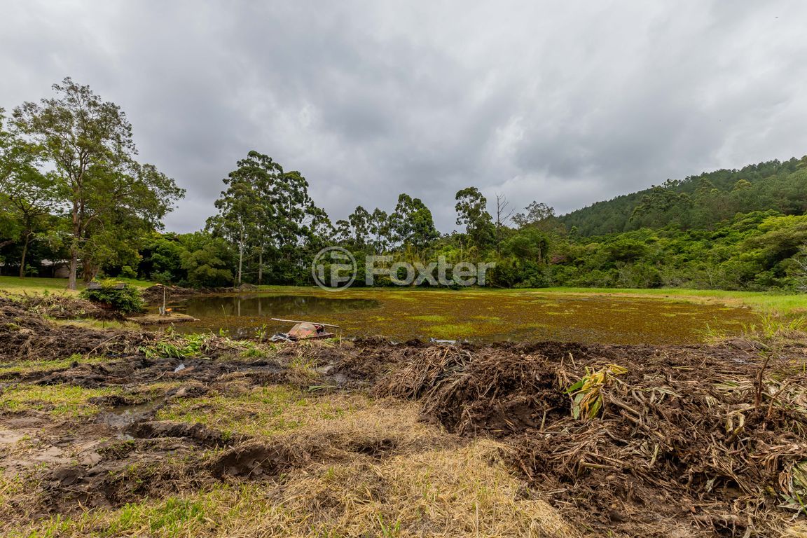 sitio chachara fazenda para comprar em Frei Pacífico, s/n - foto 53