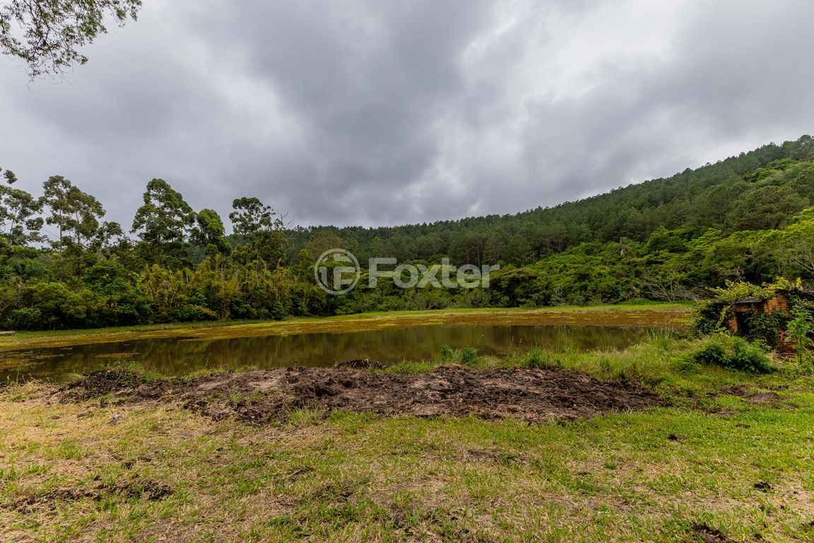 sitio chachara fazenda para comprar em Frei Pacífico, s/n - foto 54