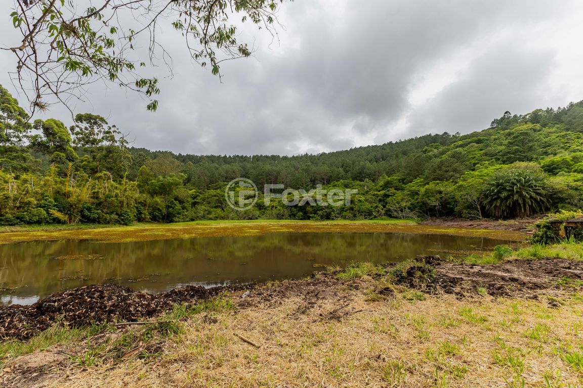 sitio chachara fazenda para comprar em Frei Pacífico, s/n - foto 55