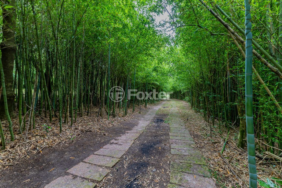 sitio chachara fazenda para comprar em Frei Pacífico, s/n - foto 62