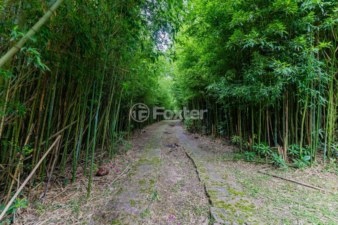 sitio chachara fazenda para comprar em Frei Pacífico, s/n - foto 73