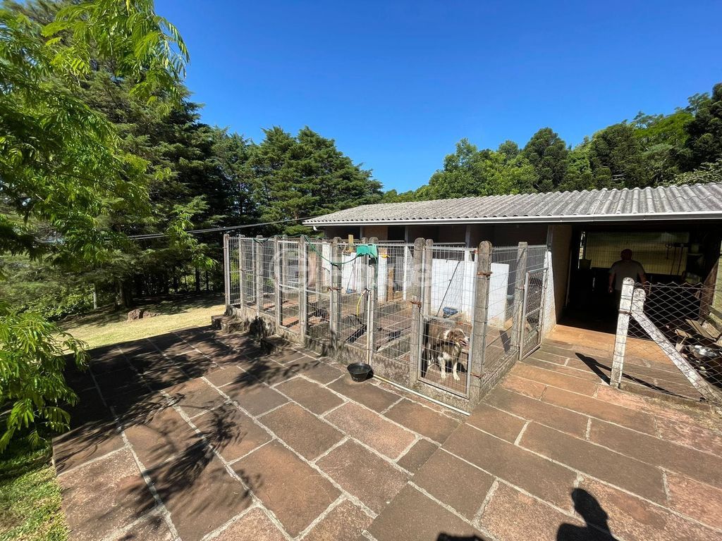 sitio chachara fazenda para comprar em B, 230 - foto 38