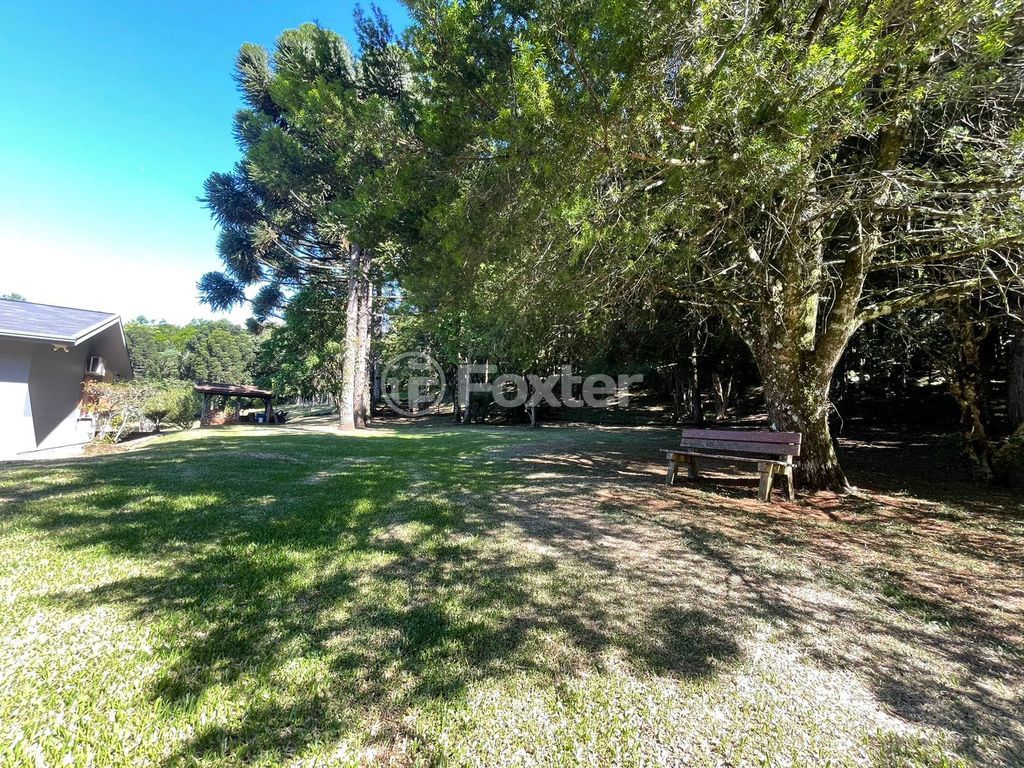 sitio chachara fazenda para comprar em B, 230 - foto 36