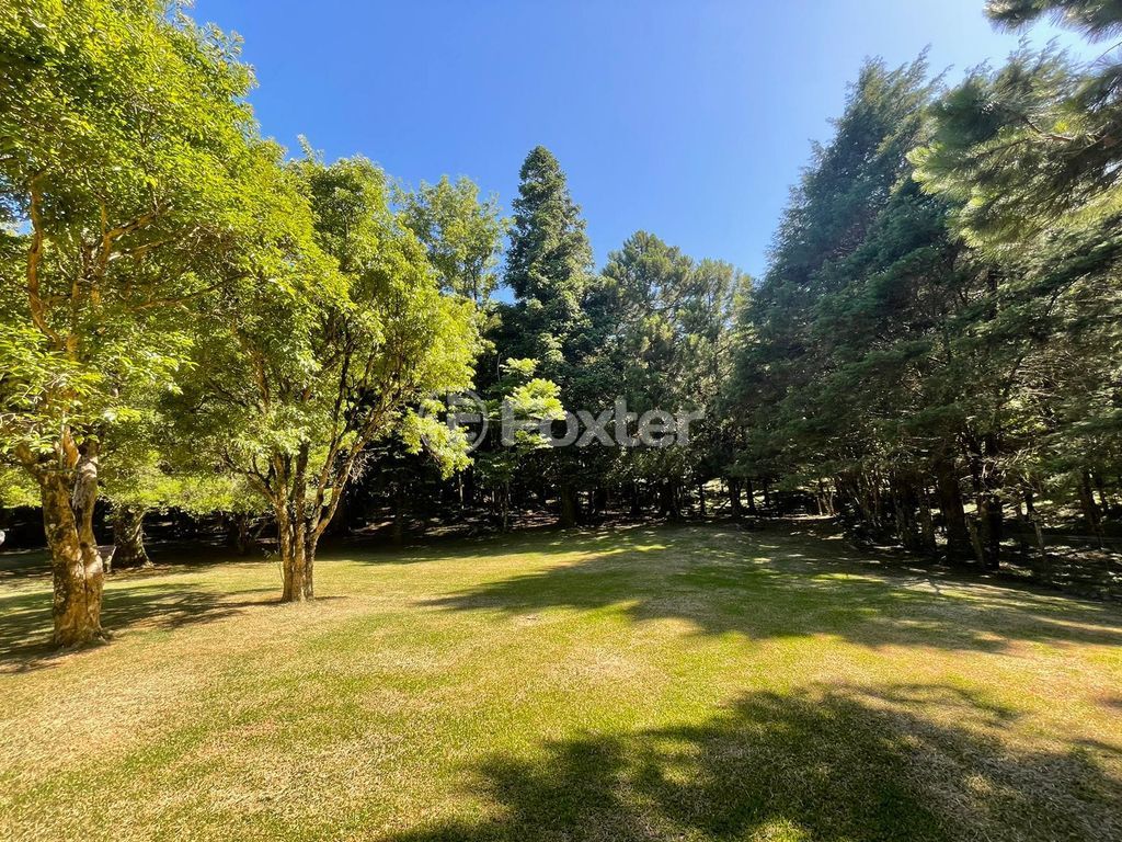 sitio chachara fazenda para comprar em B, 230 - foto 33