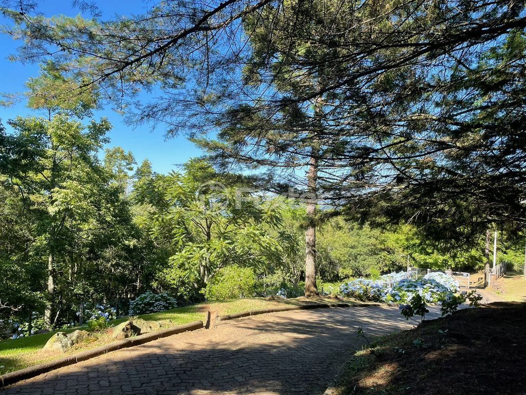 sitio chachara fazenda para comprar em B, 230 - foto 37