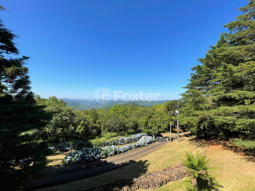 sitio chachara fazenda para comprar em B, 230 - foto 27