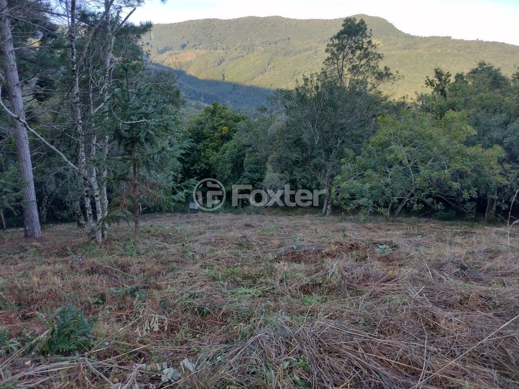 sitio chachara fazenda para comprar em B, 230 - foto 28